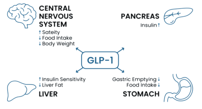 glp-12.png glp-12.png